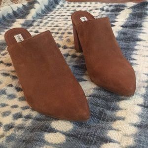 steve madden addison mule